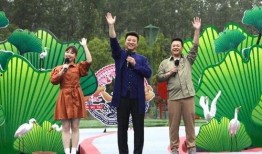 最近60天新闻爆料视频,热点事件追踪与深度解析