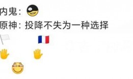 内鬼爆料流萤视频大全,流萤视频大全背后的惊人真相