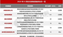 晶核2024年最新爆料,未来科技与产业变革前瞻